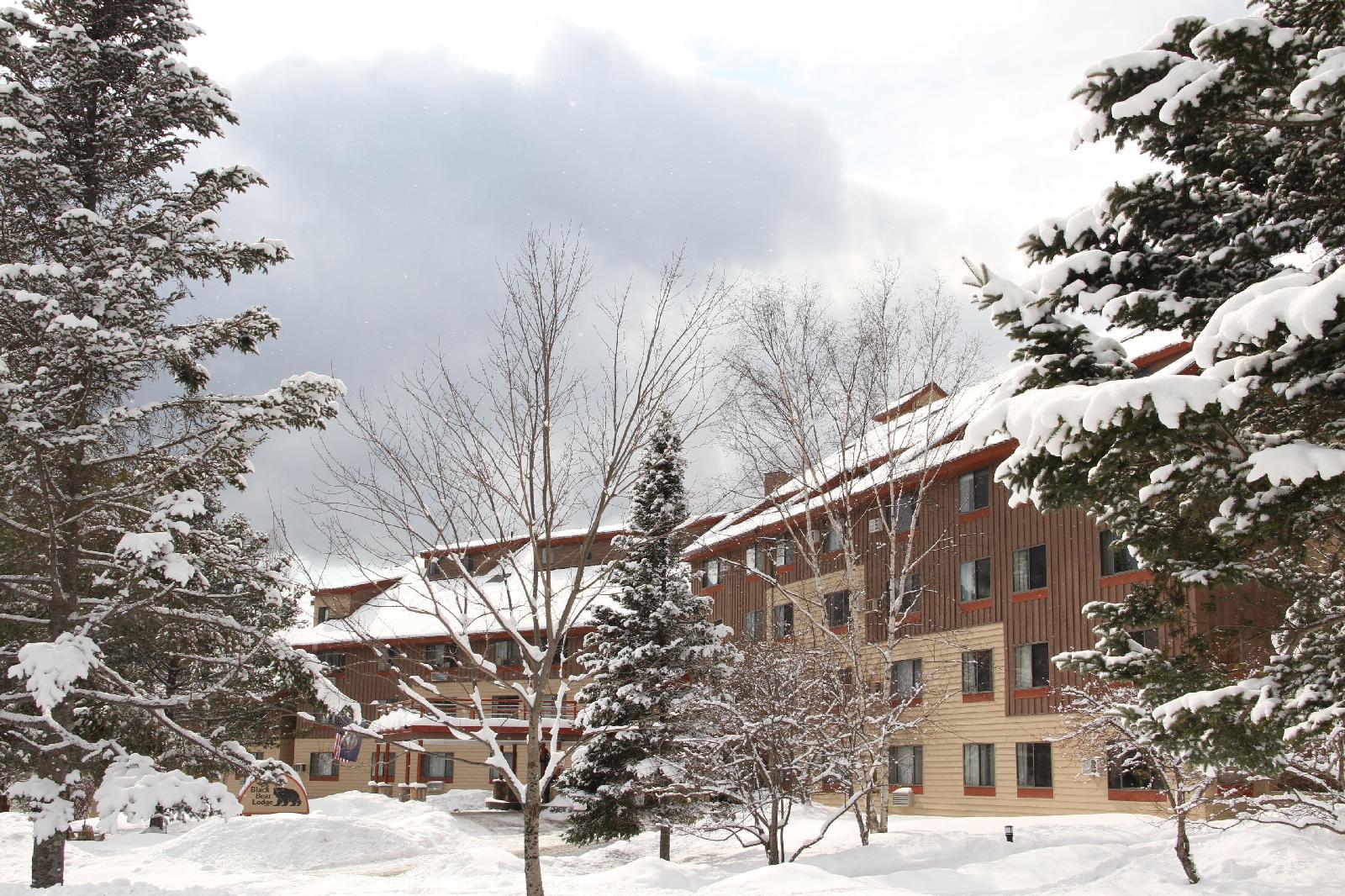 Black Bear Lodge