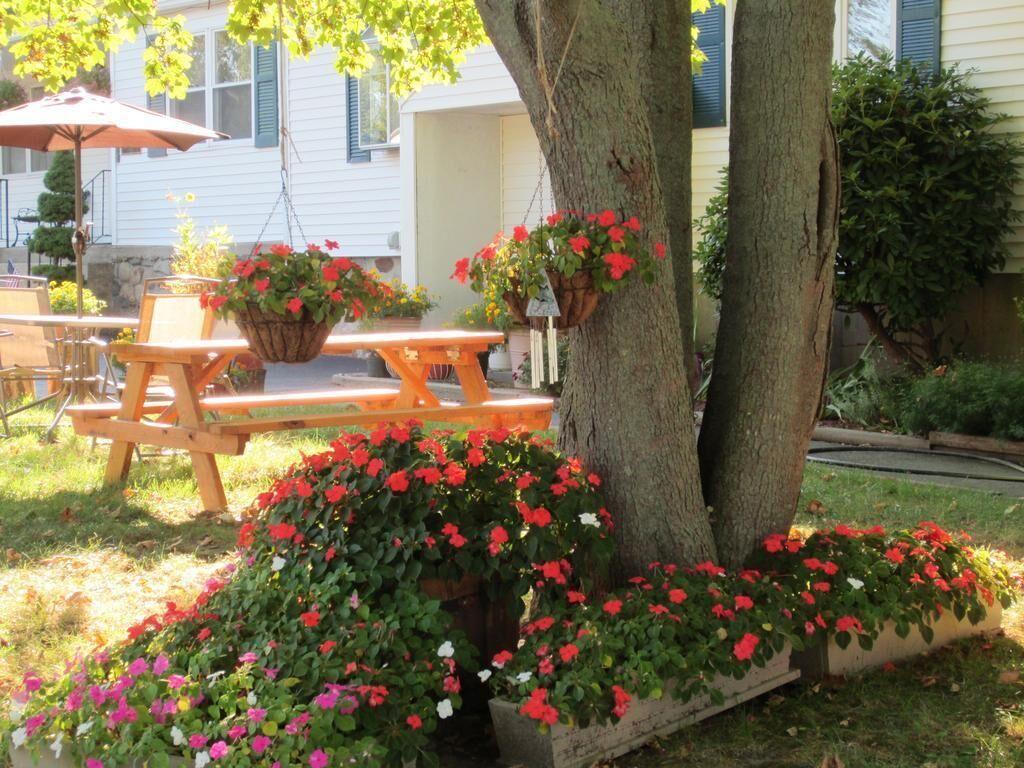 Founder's Brook Motel & Suites