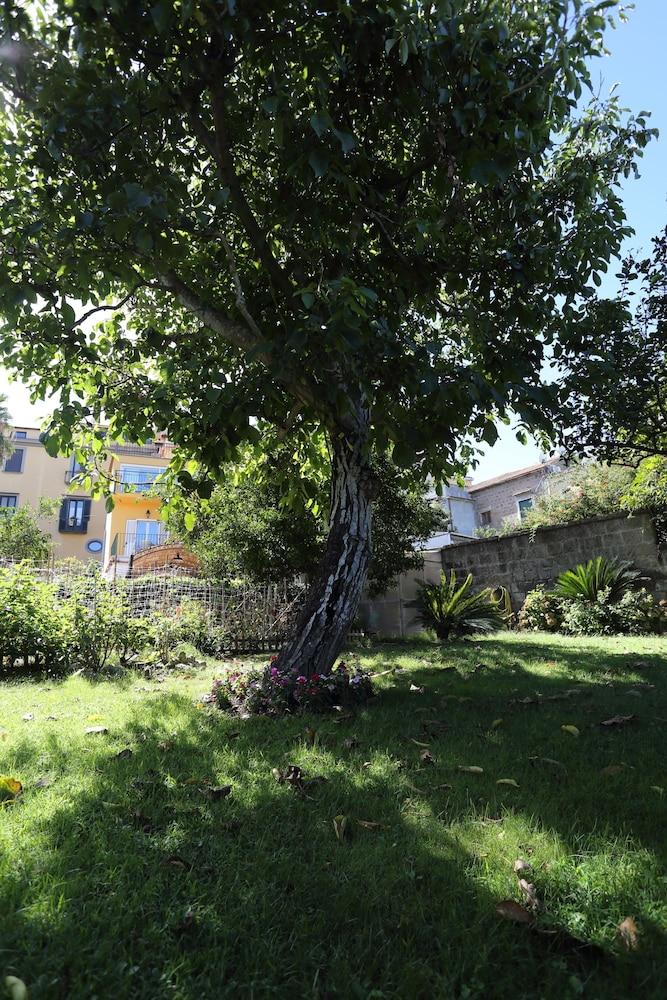Ambrosio Relais