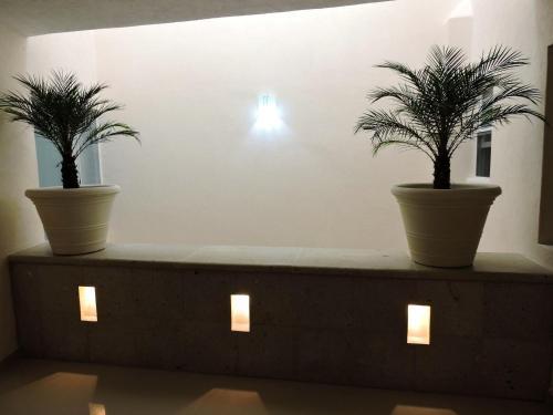 Casa Jasave Hotel