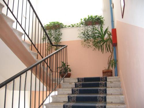 Hotel Veli Jože