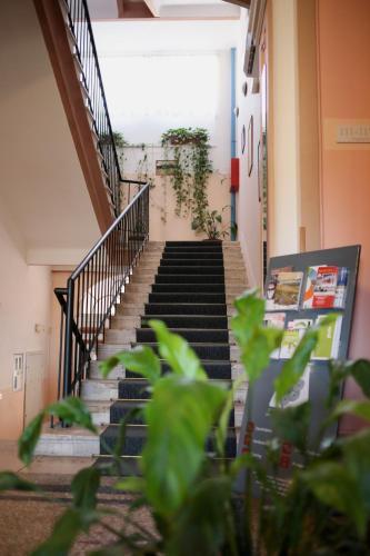 Hotel Veli Jože