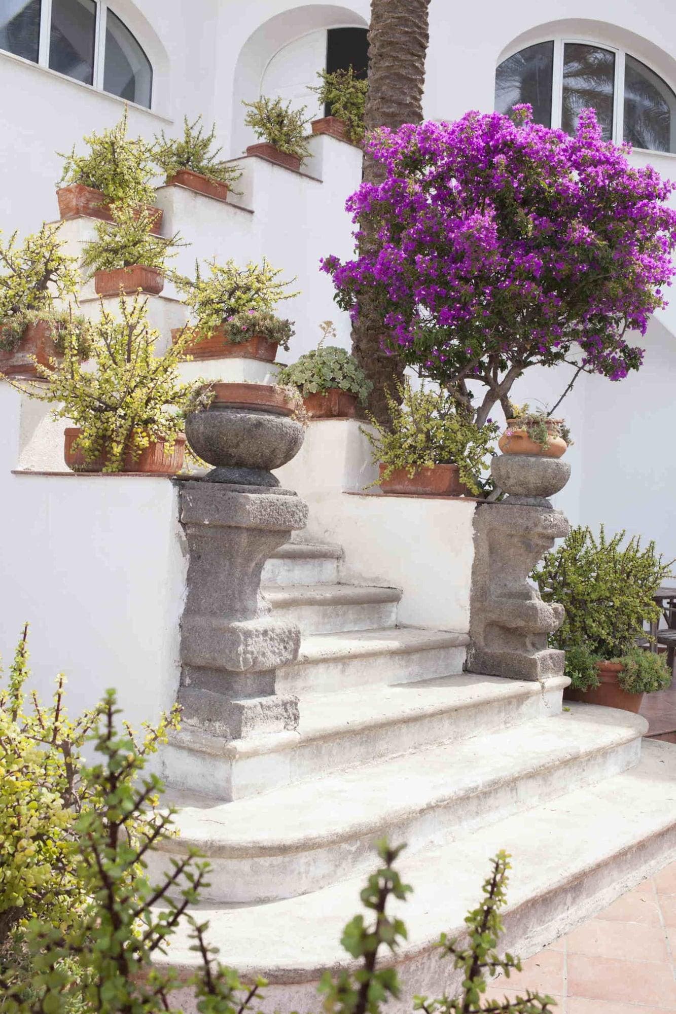 Eremo Di Montevergine Ischia Apartments