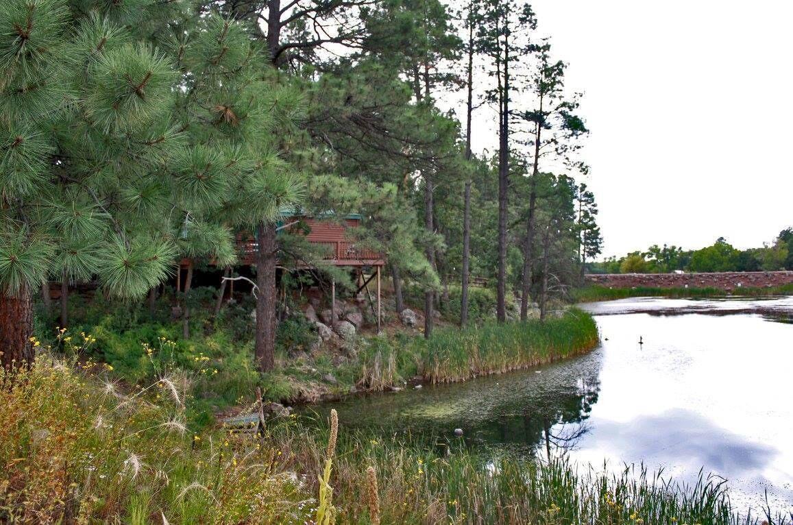 Lumbermen's Village
