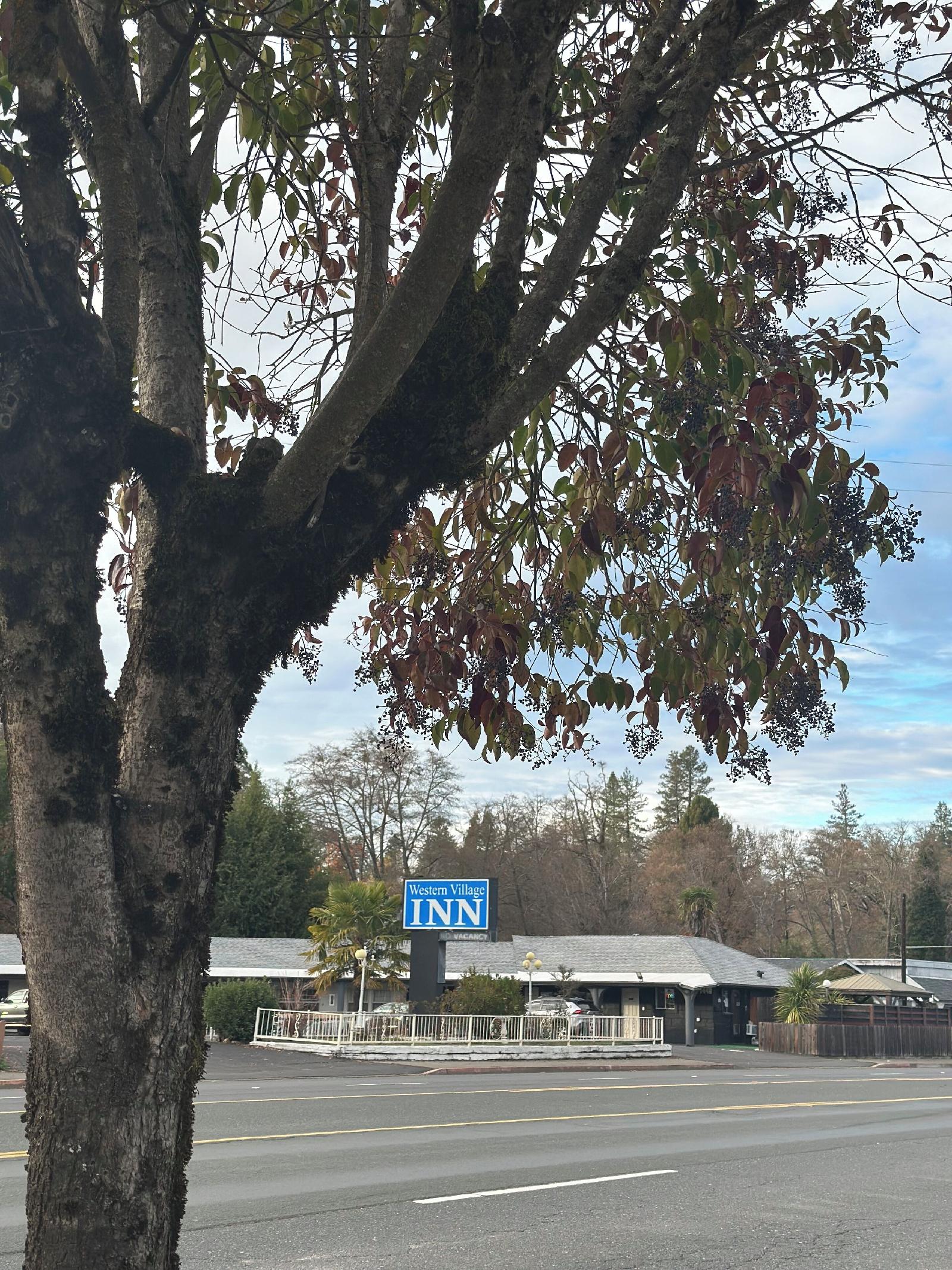 Western Village Inn