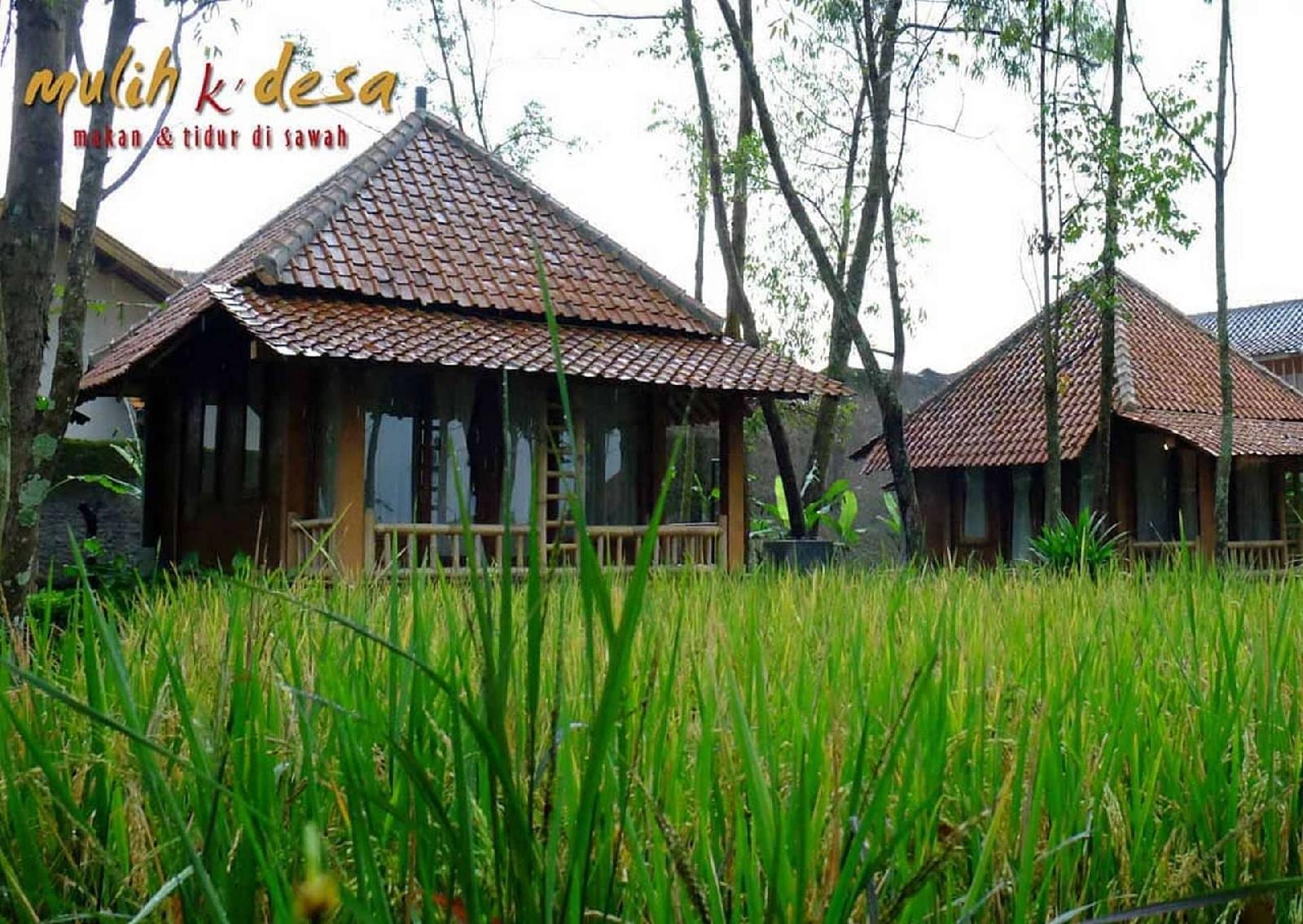 Mulih Ka Desa