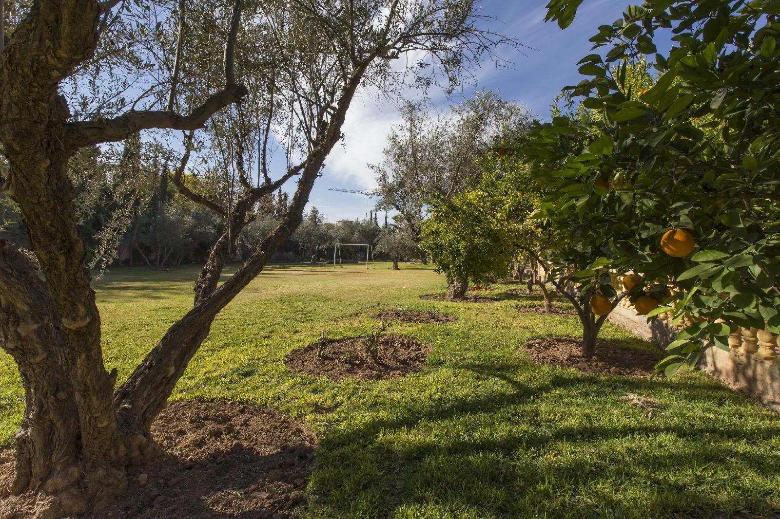 Villa Zahra