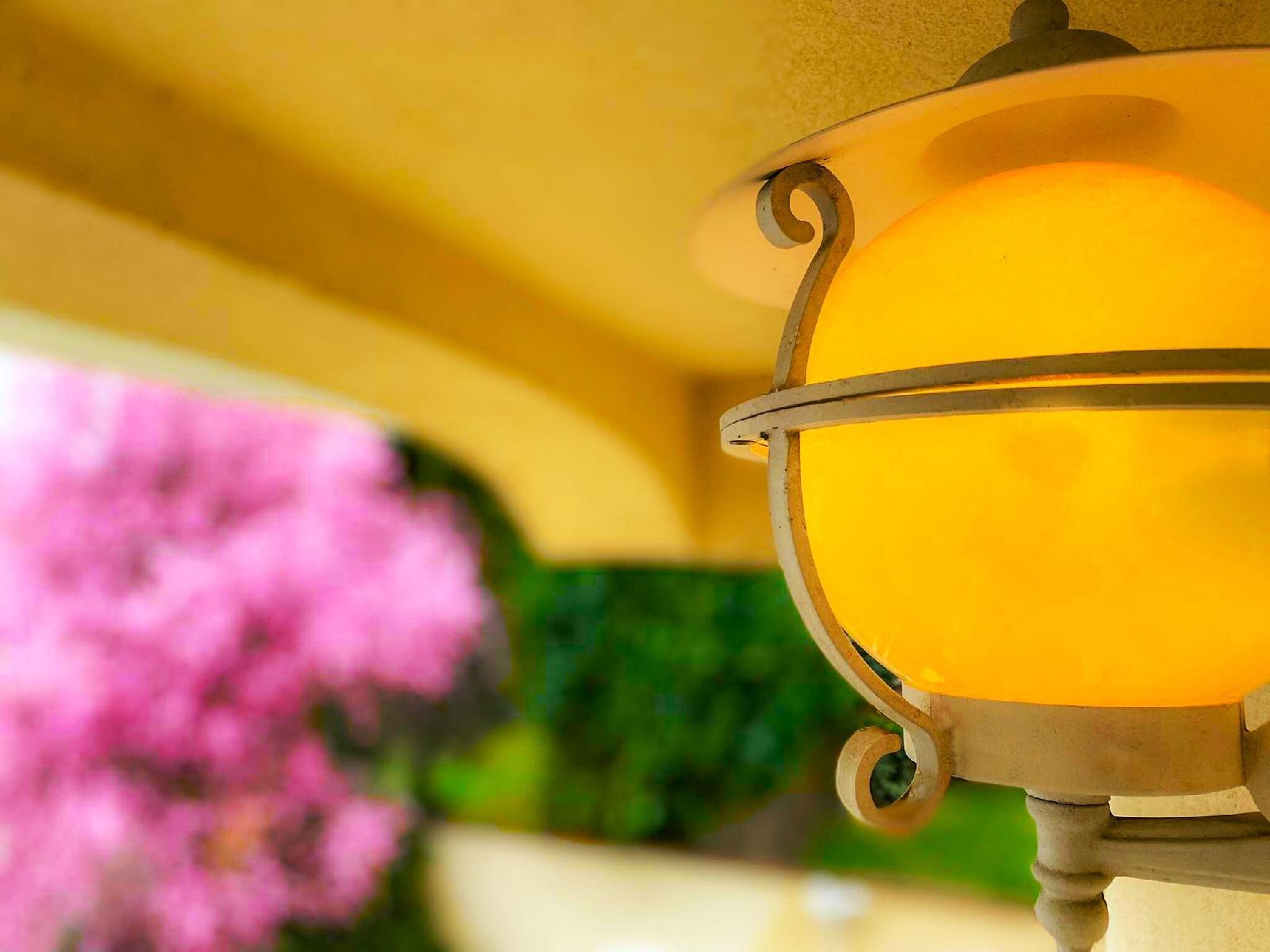 Hotel Arboretum Sarvar