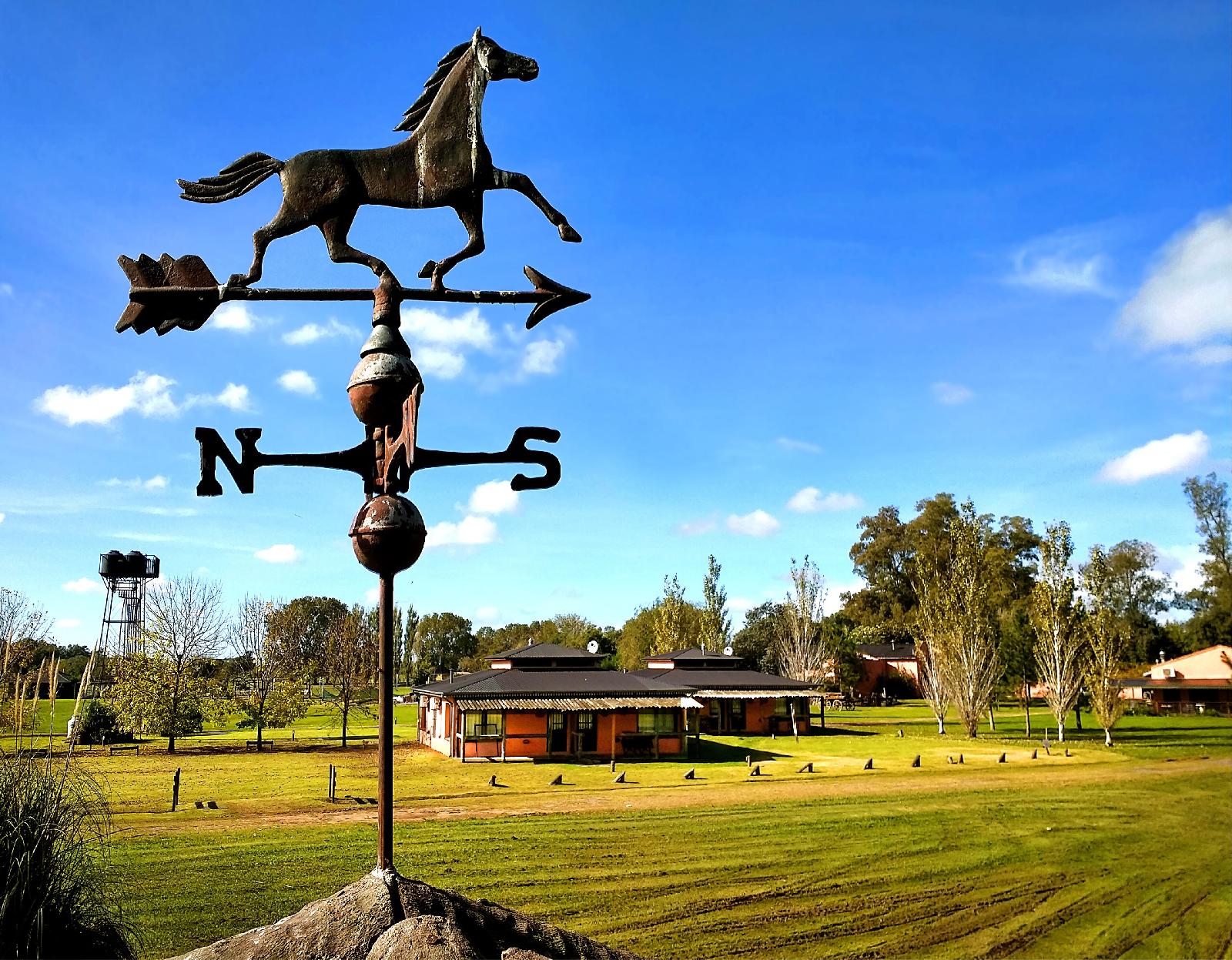 Pampas del Sur