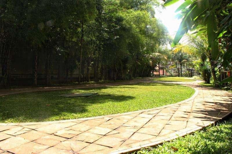 Bintang Sintuk