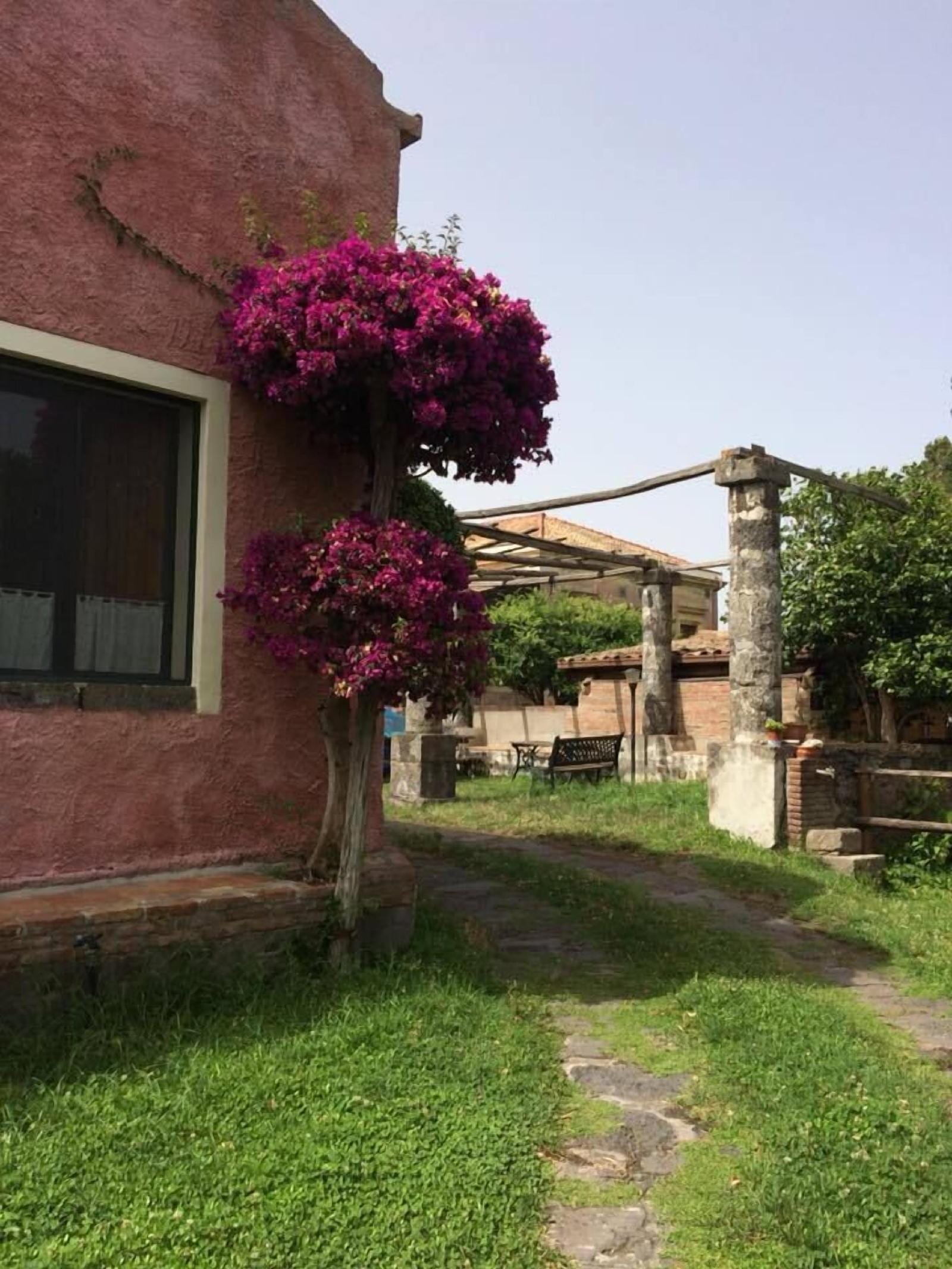 Codavolpe