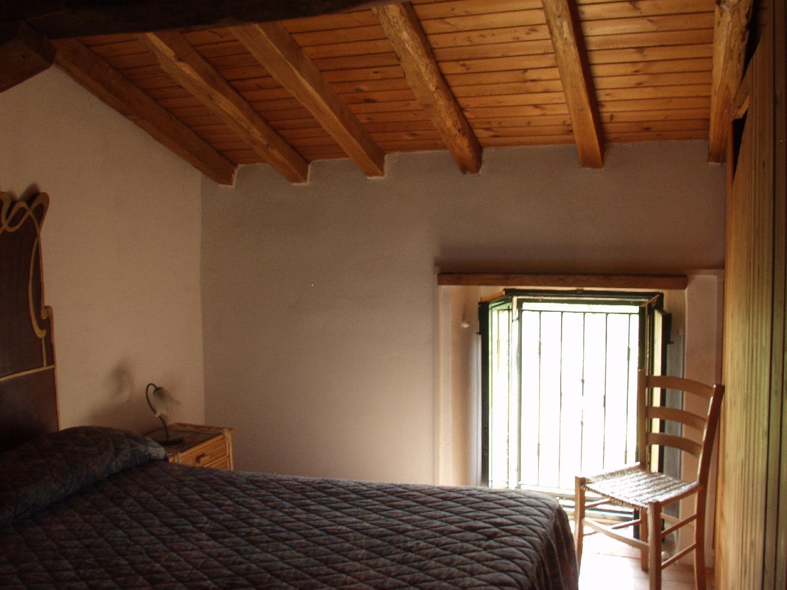 Codavolpe