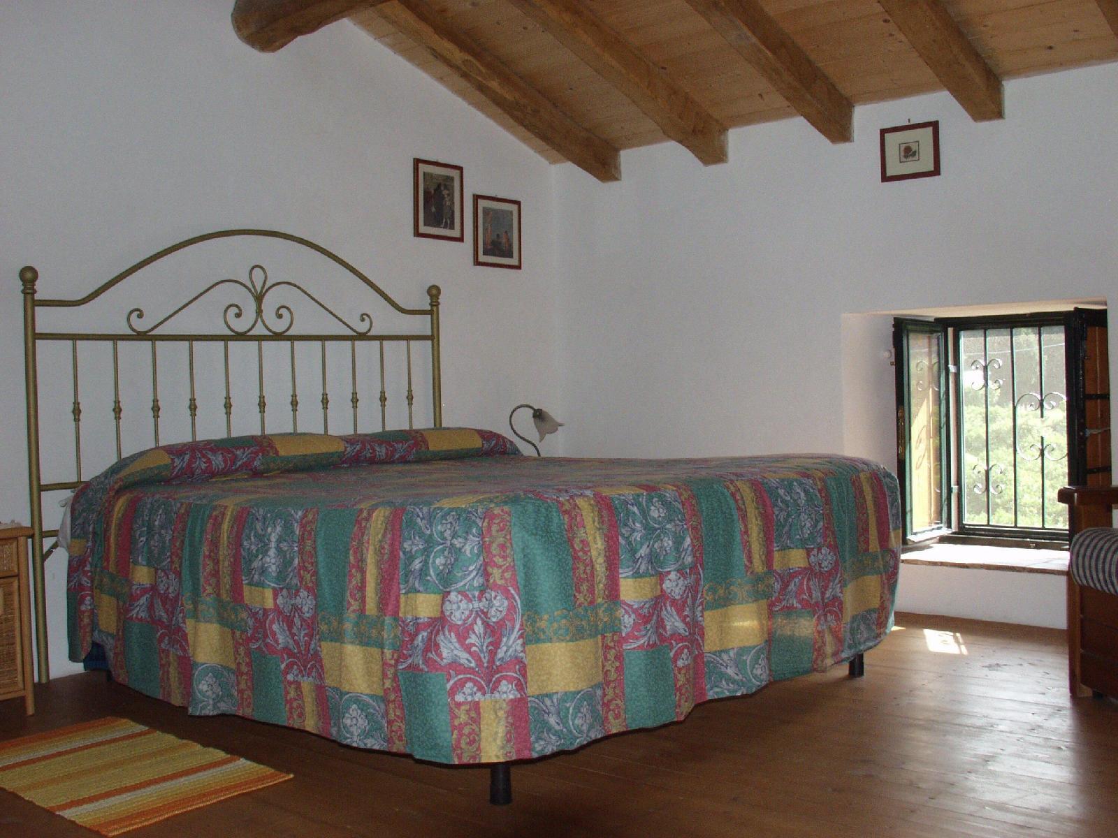 Codavolpe