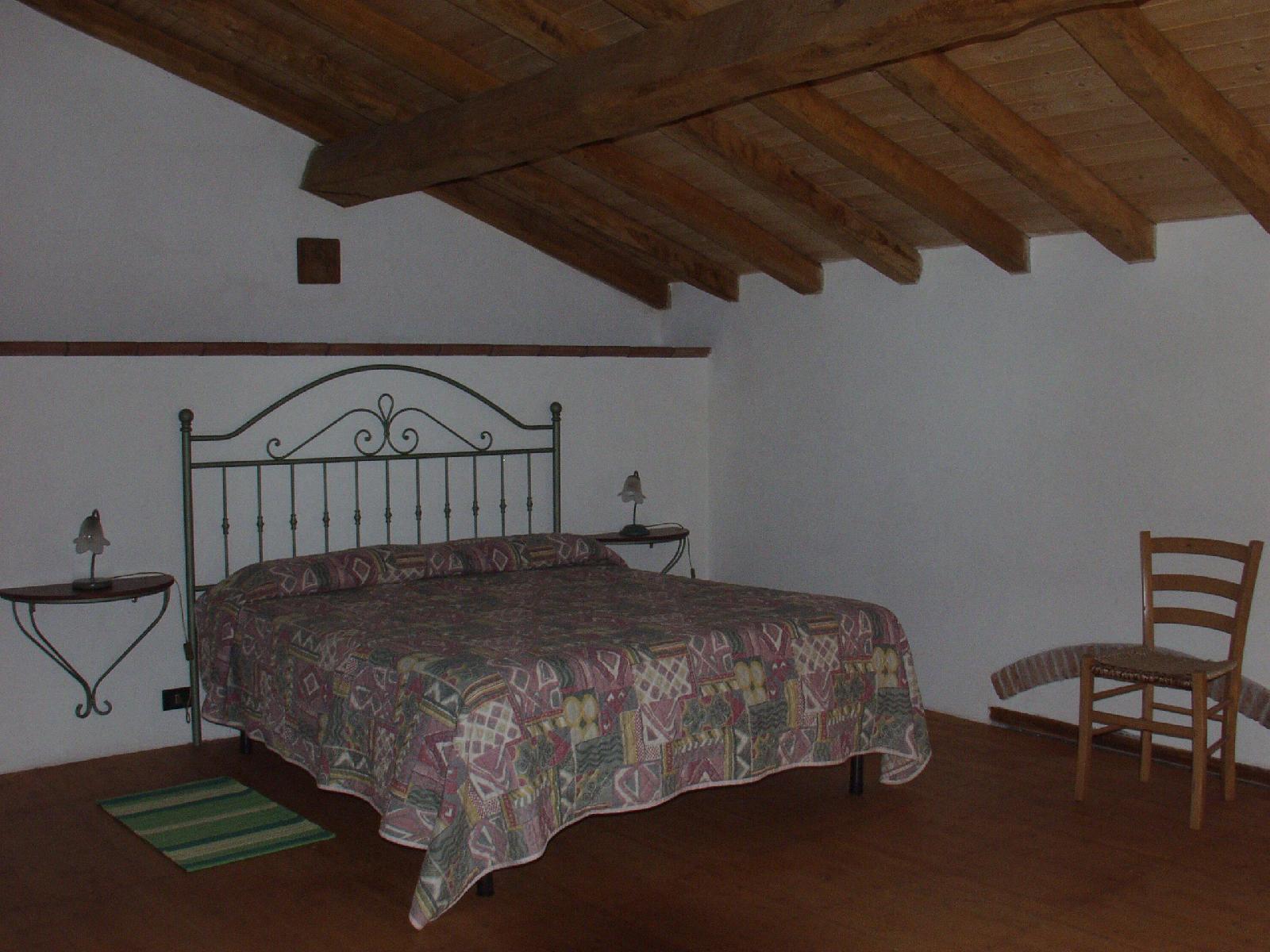 Codavolpe