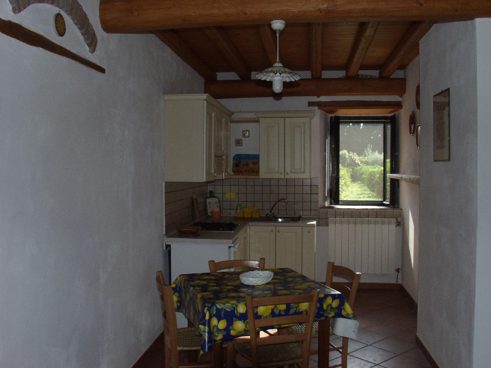 Codavolpe