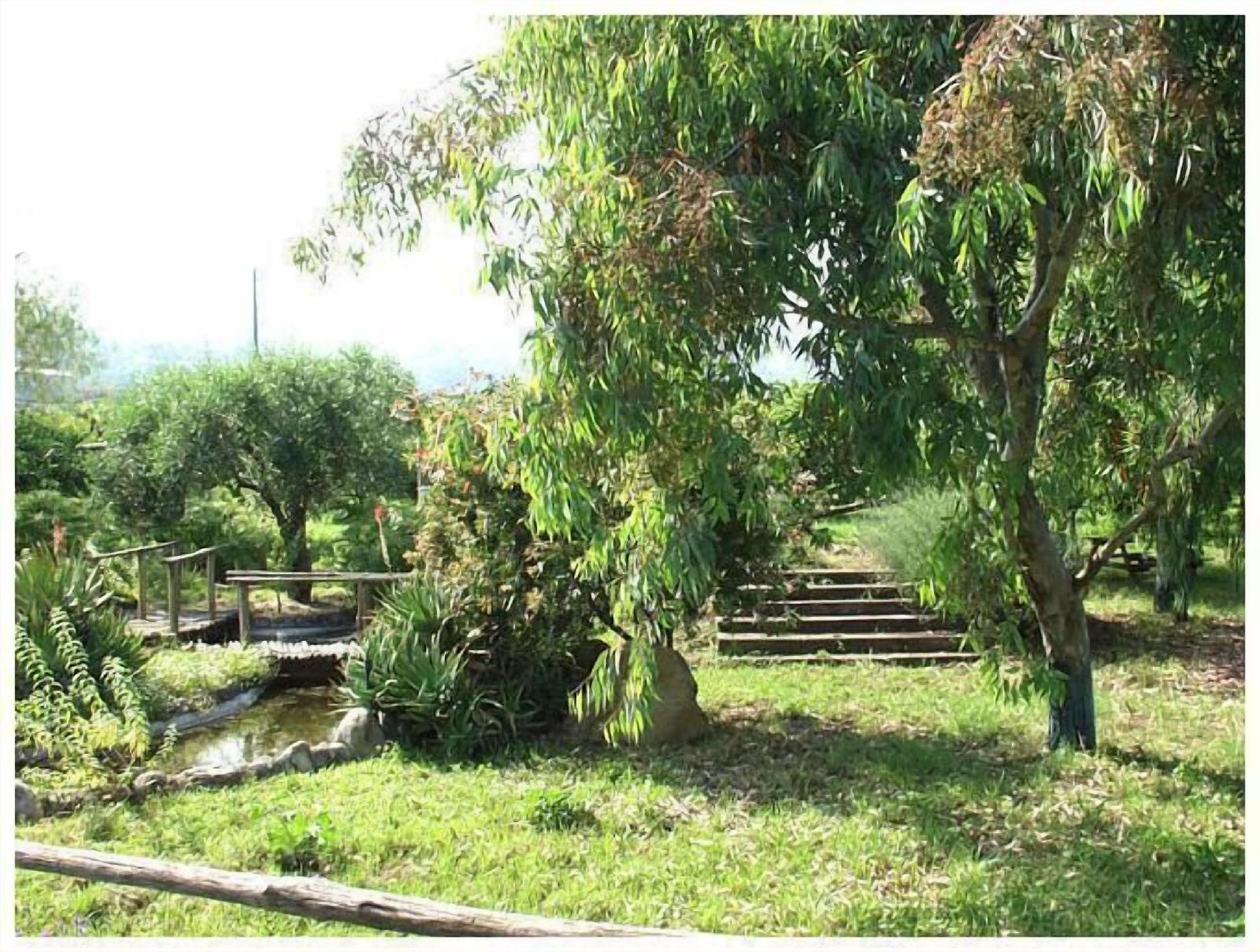 Codavolpe