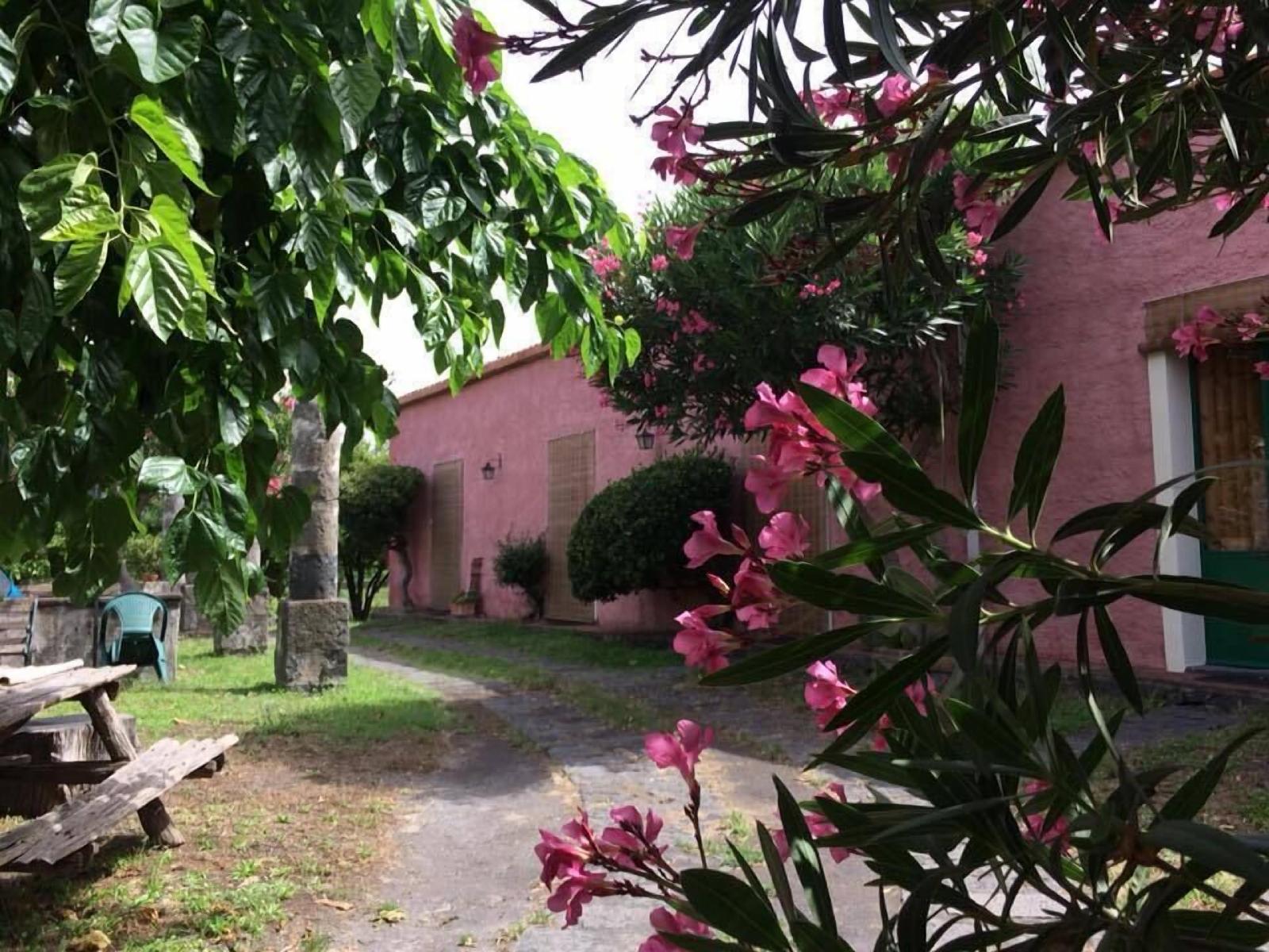 Codavolpe
