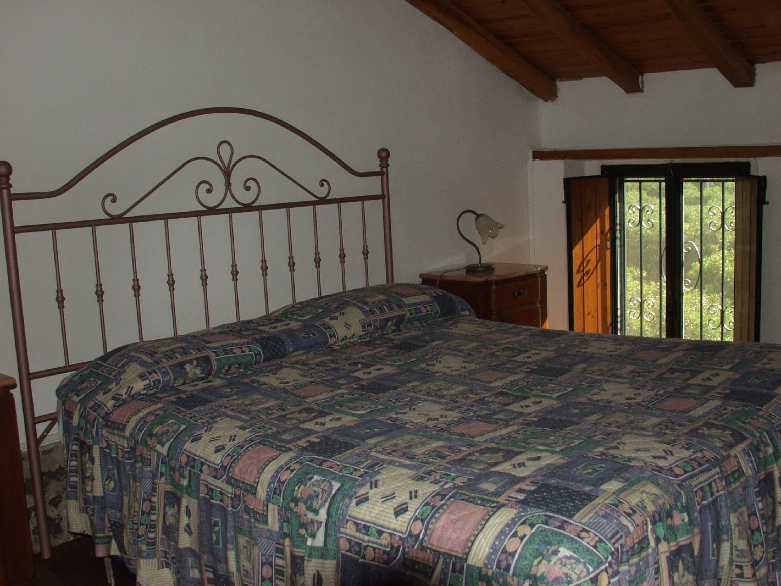 Codavolpe