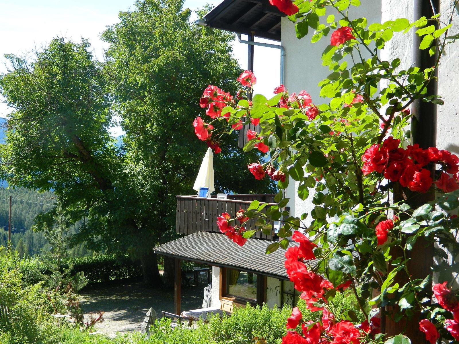 Hotel Ganzaie