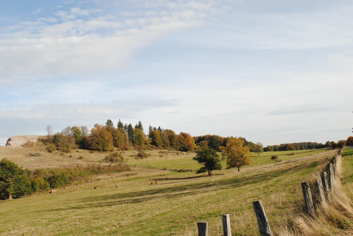 Landgasthof Gruss