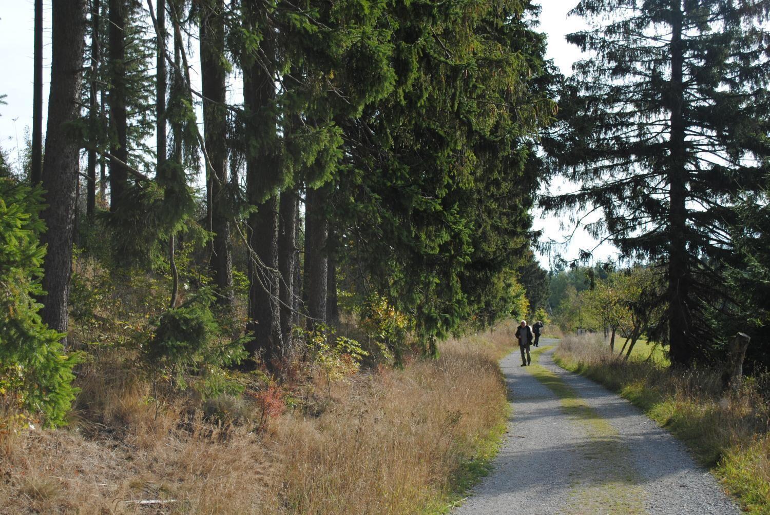 Landgasthof Gruss
