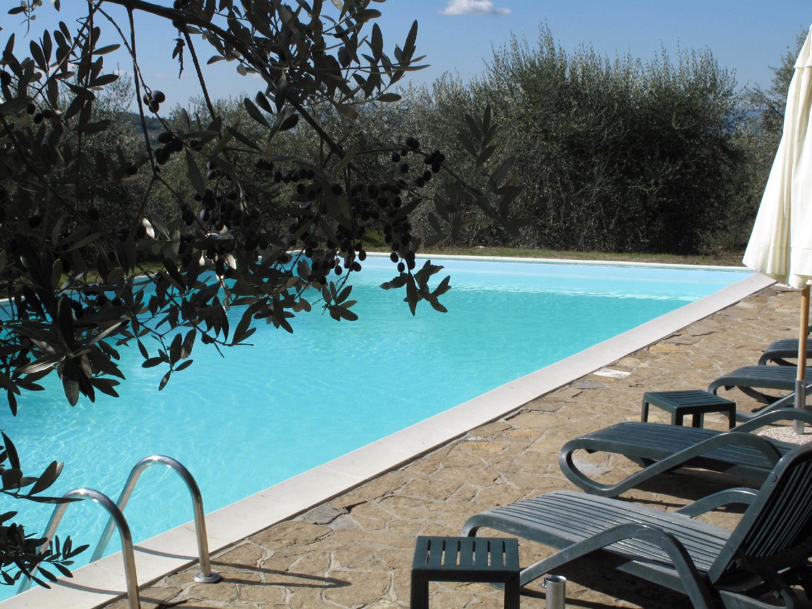 Fattoria Casa Sola