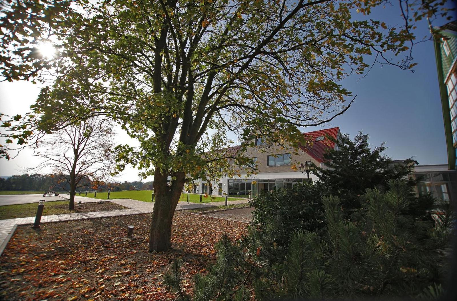 Weinhaus Mohle