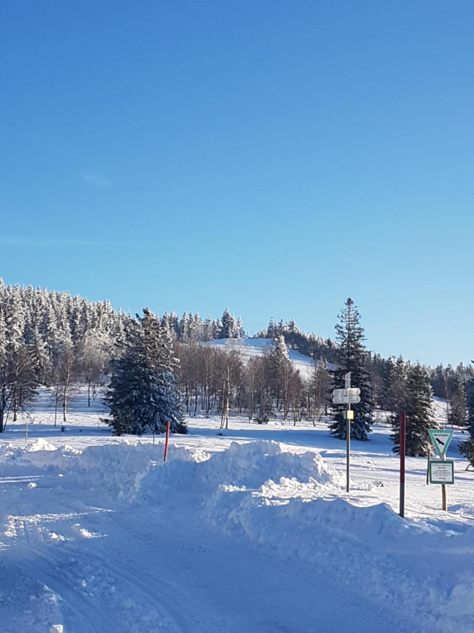 Griesbacher Kurparkhotel