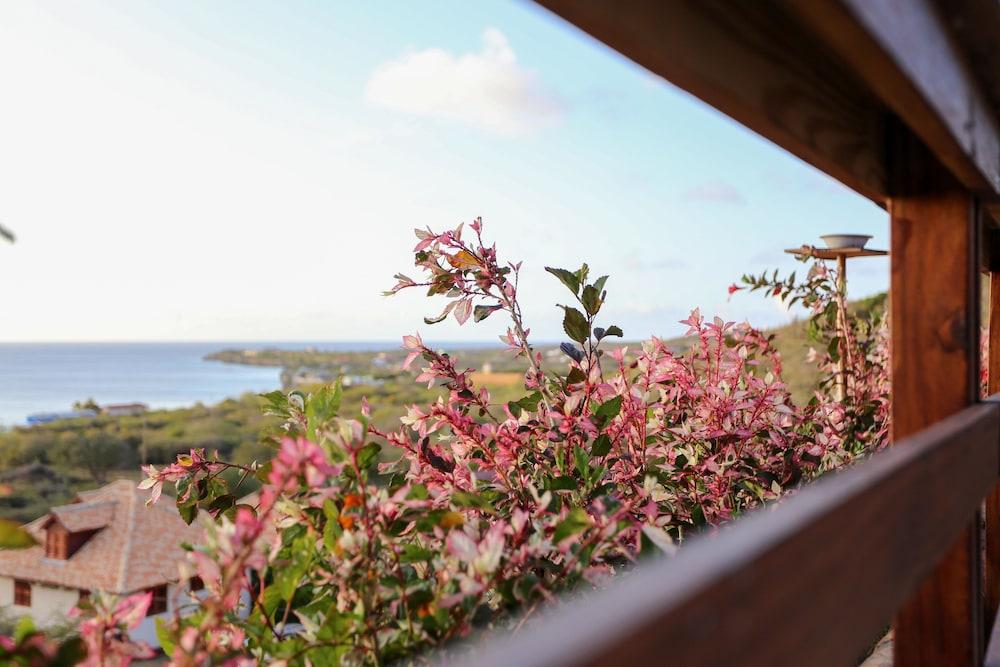 Punta West (Bed and Breakfast)