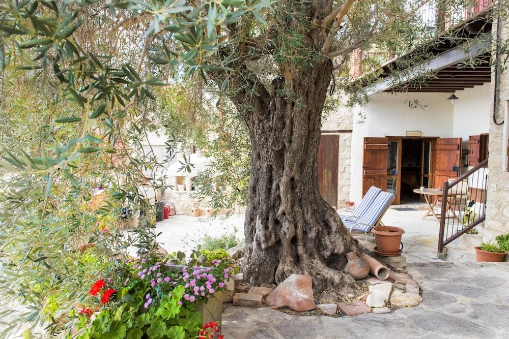 Vouni Lodge