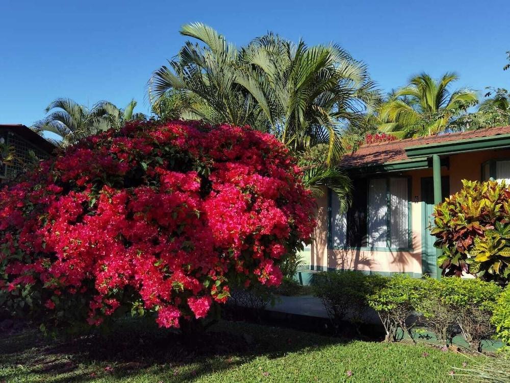 Hotel Bristol Aeropuerto