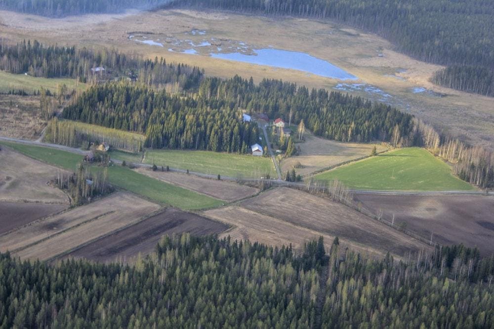 B&B Kommee Kurki