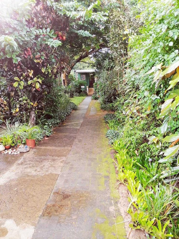 St Lucia Wilds