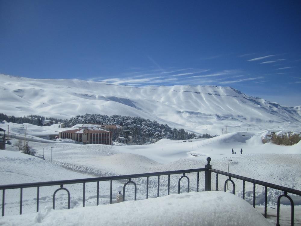 Cedars Palace