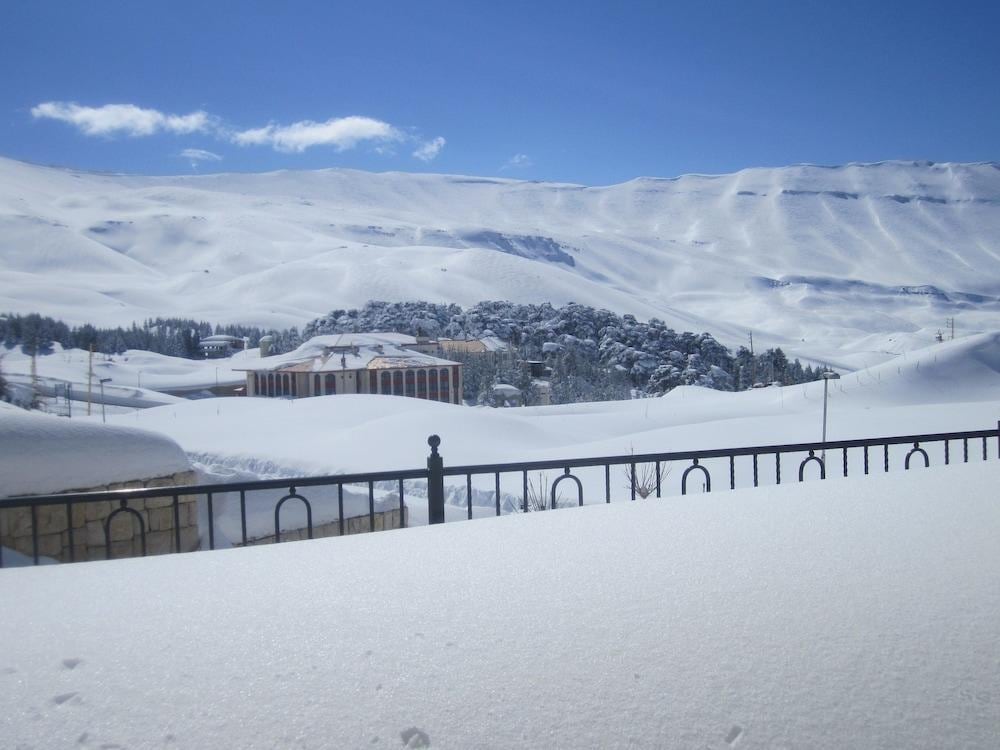 Cedars Palace