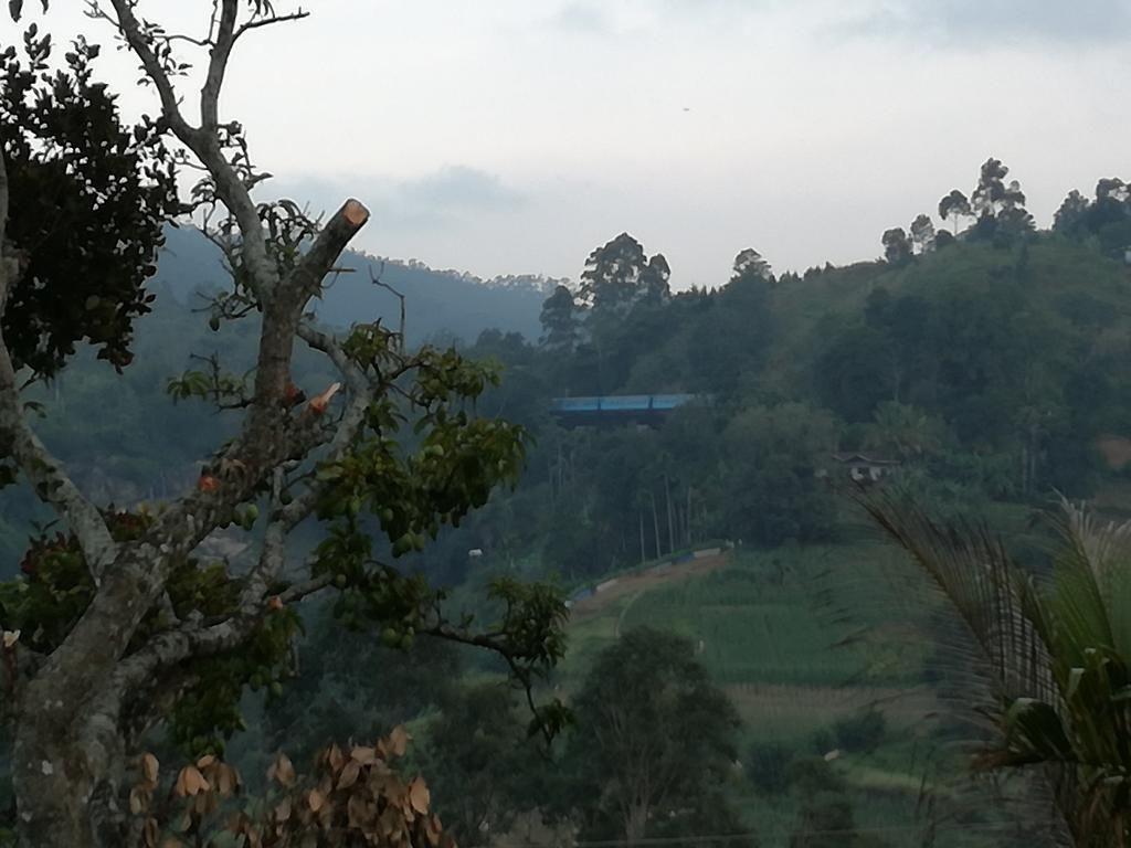 Ella Grand View