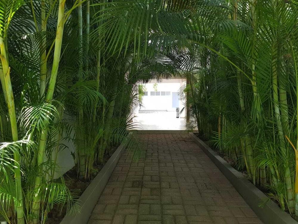 Hotel Verdi & Suites