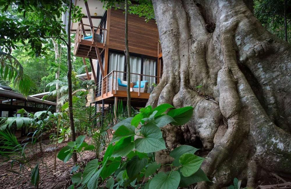 Isla Palenque Resort