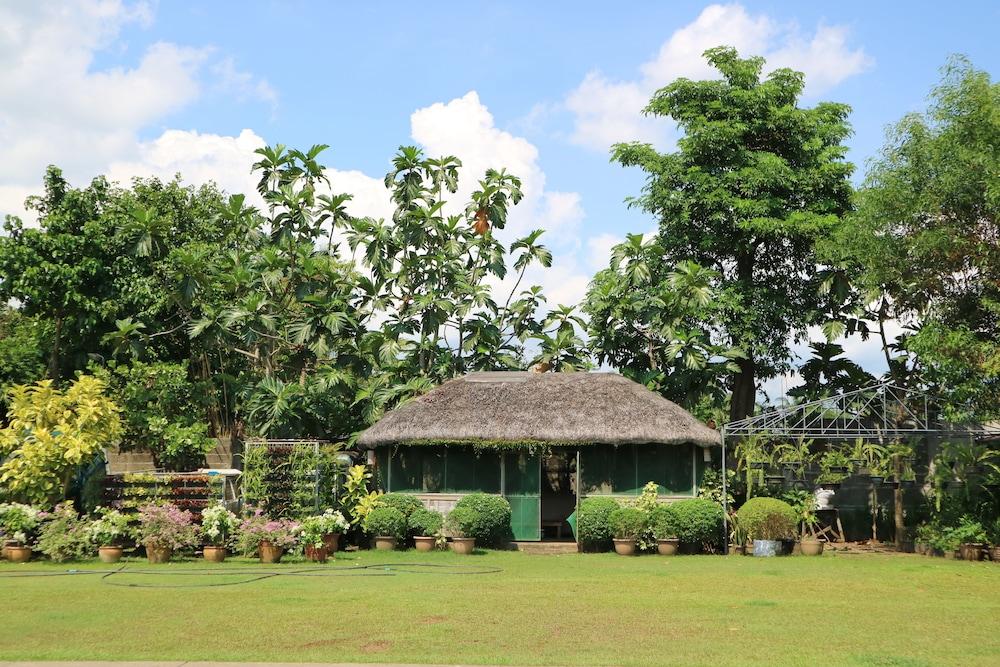 Casa Palmeras Hotel
