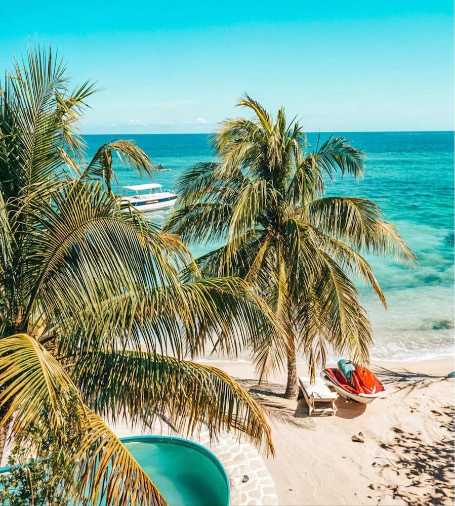 Marquis Paradise