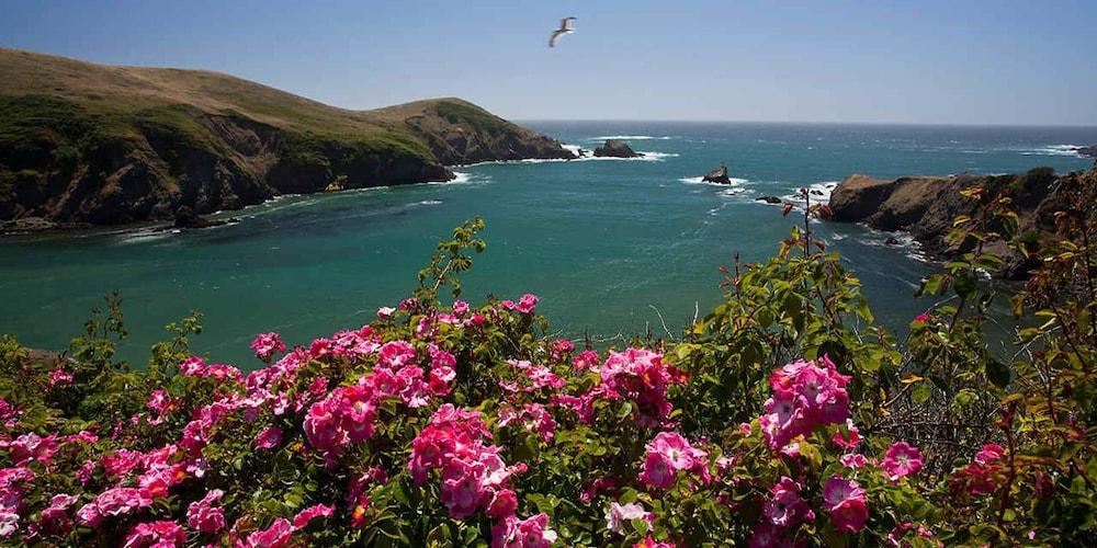 Agate Cove Inn