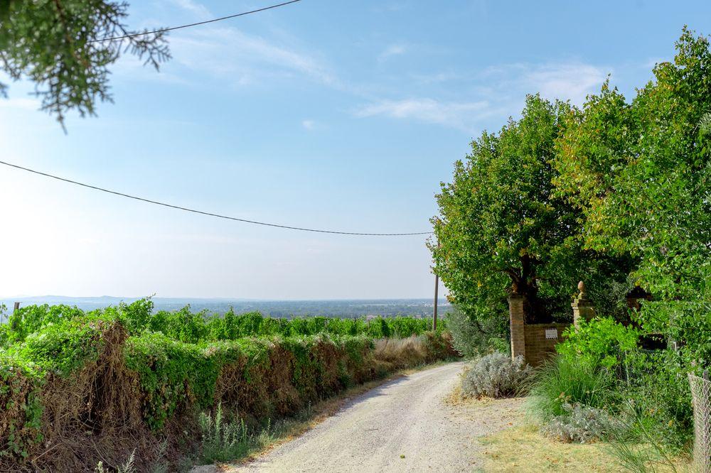 Il Vigneto Cottage
