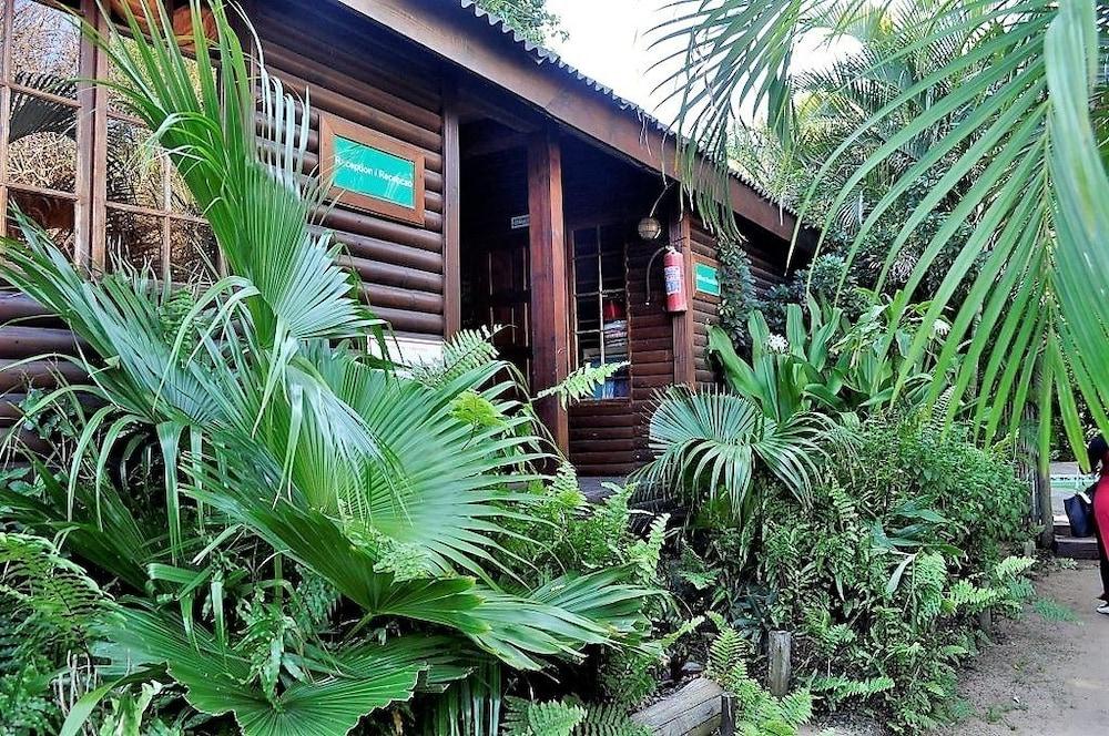 Ntsuty Lodge