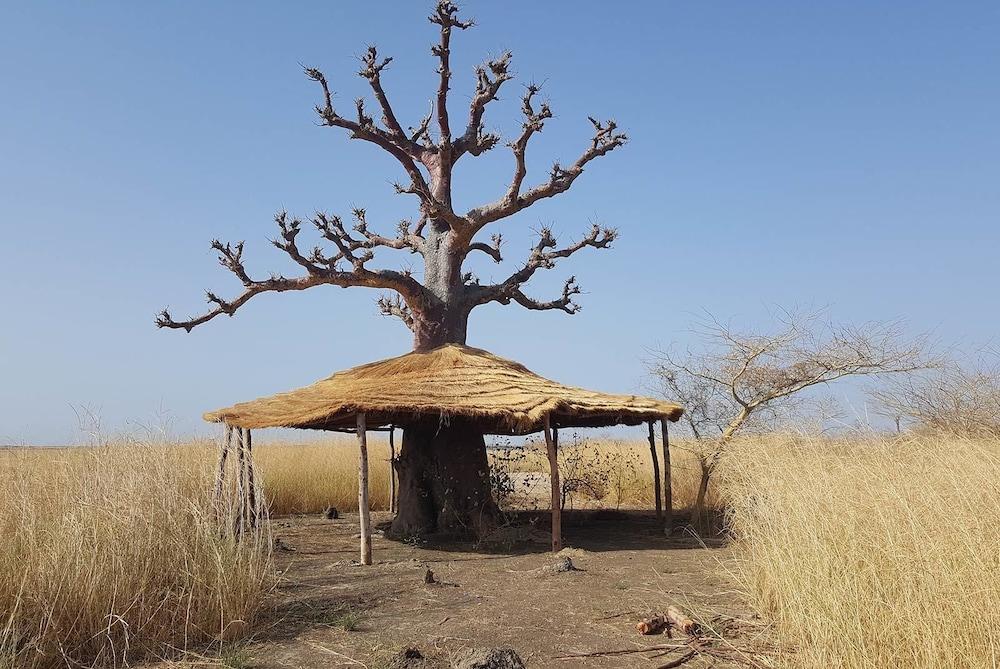 L'Ecolodge De Simal