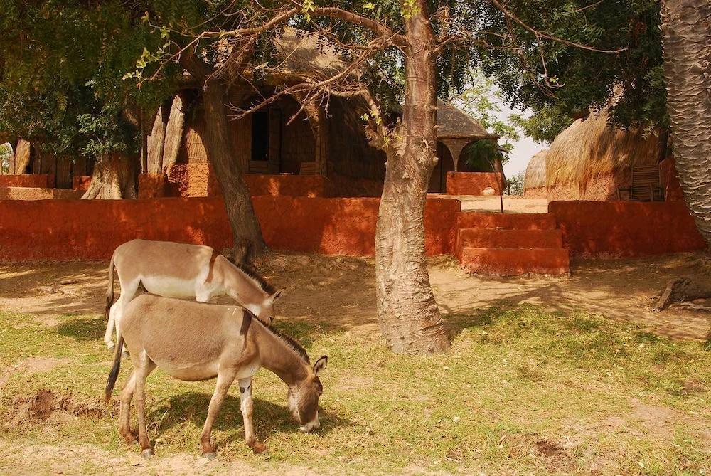 L'Ecolodge De Simal