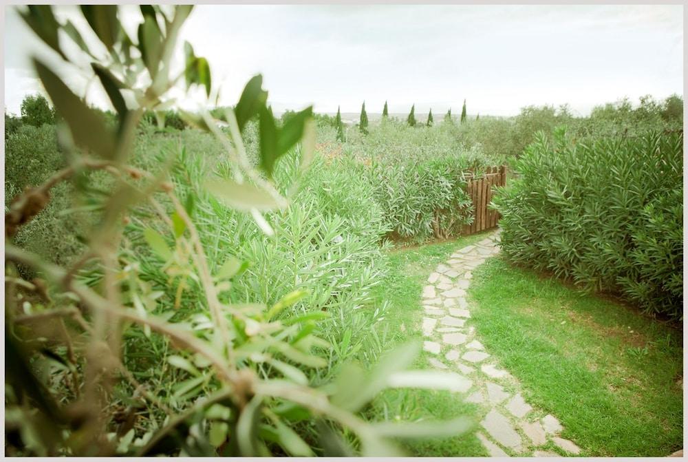 Agriturismo Costa Etrusca