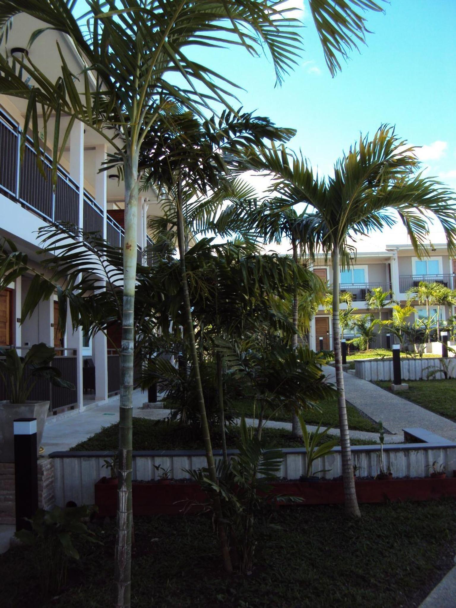 Hotel Colibri