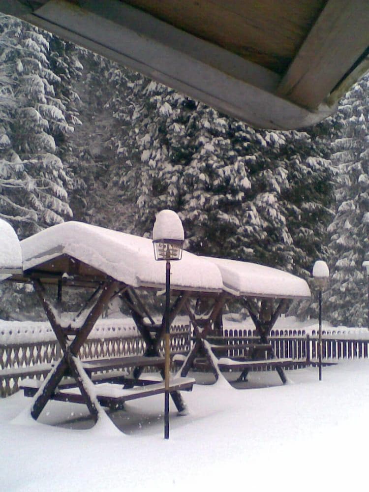 Pension & Gasthaus Polenztal