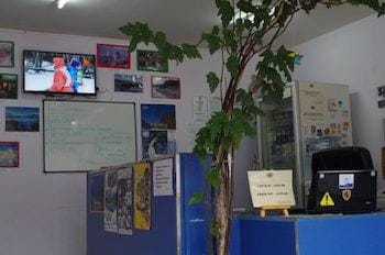 Hostel Los Cormoranes