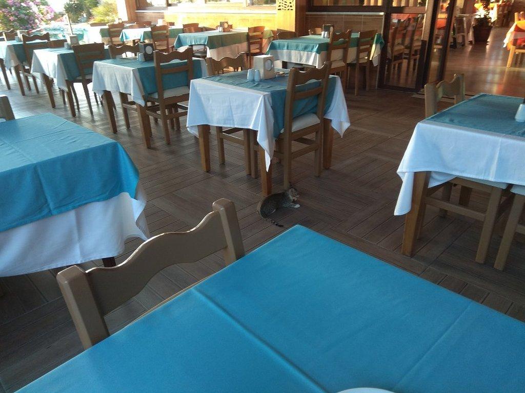 Club Hotel Belpinar